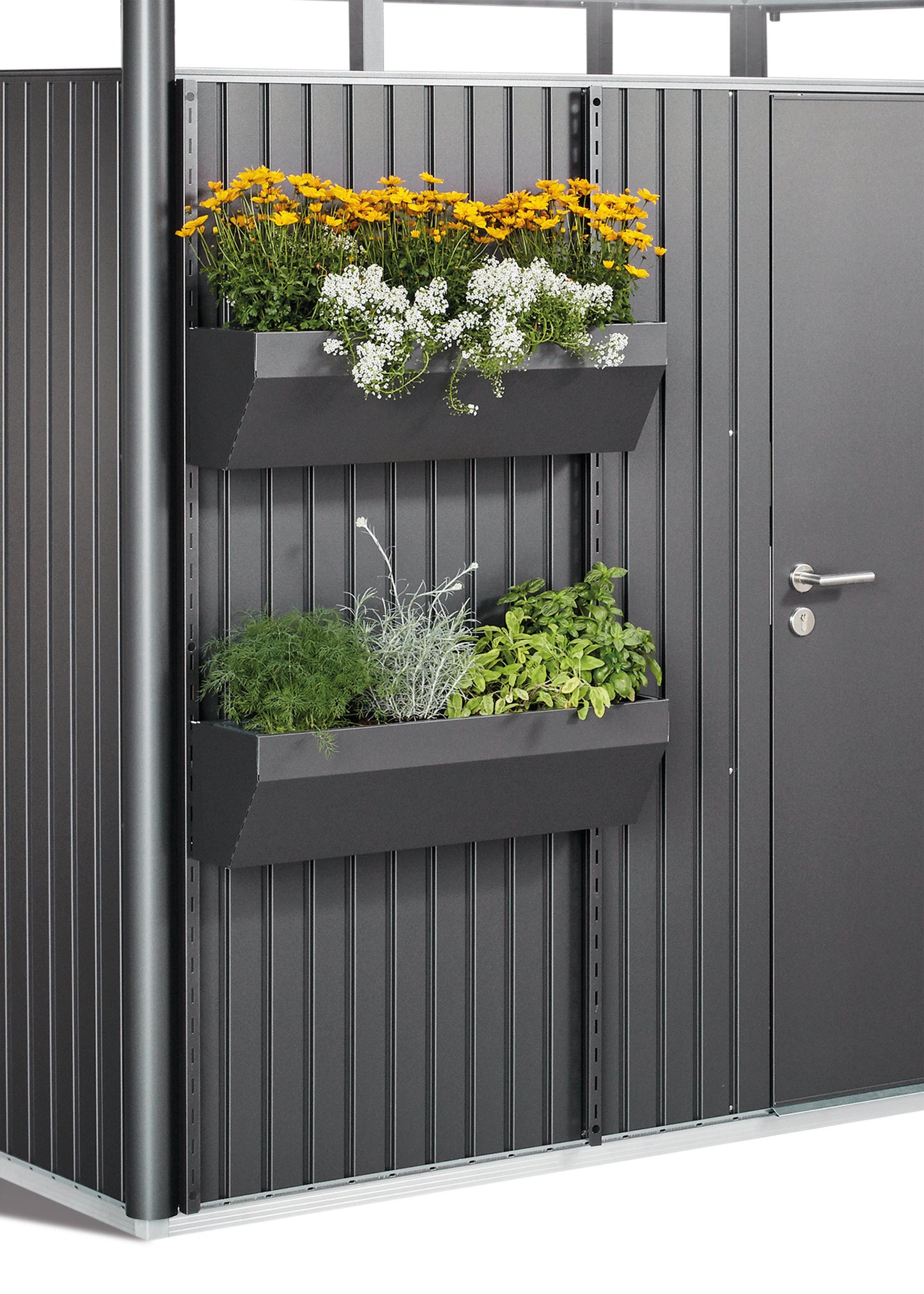 FloraBoard zu AvantGarde, HighLine, Panorama - Elements4me